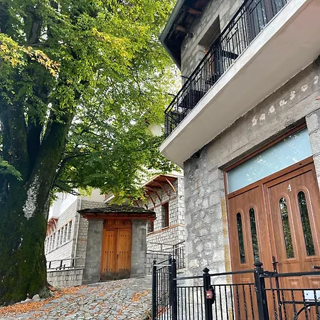 11 Luxury Apartments. Metsovo Exterior photo
