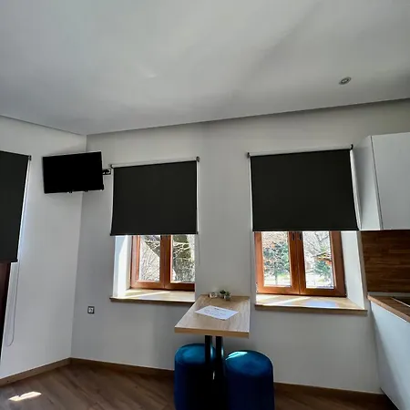 11 Luxury Apartments. Metsovo Exterior photo