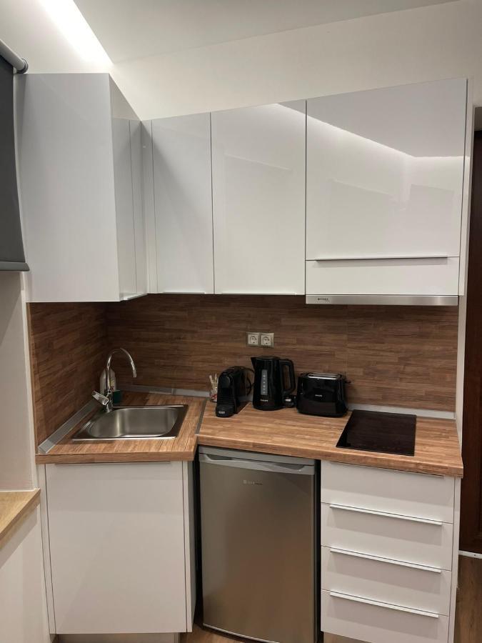 Apartment 11 Luxury Apartments. Metsovo